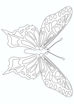 Butterfly2 coloring pages for kindergarten and preschool kids activity free