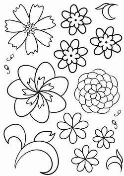 Flower8 coloring pages for kindergarten and preschool kids activity free