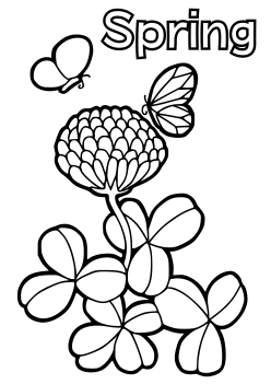Clover Flower free coloring pages for kids
