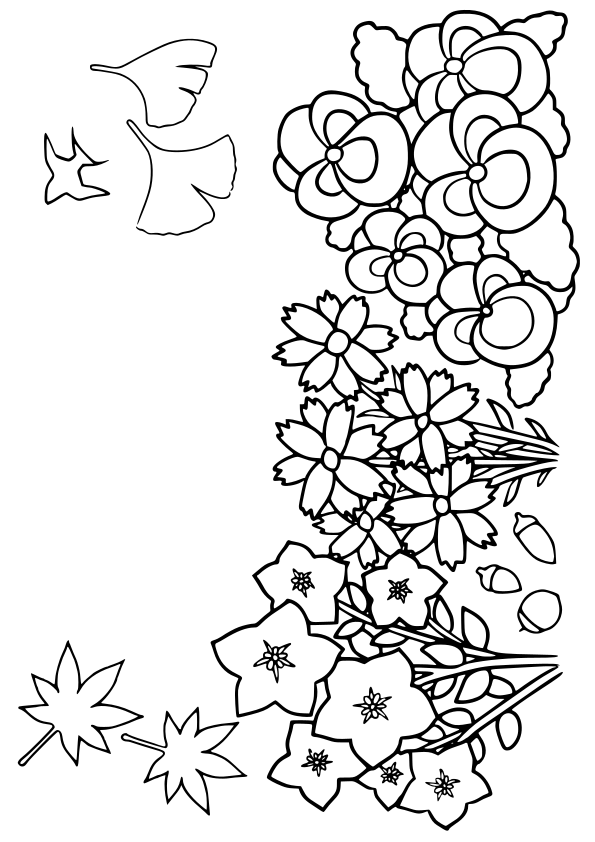 Autumn Flowers free coloring pages for kids