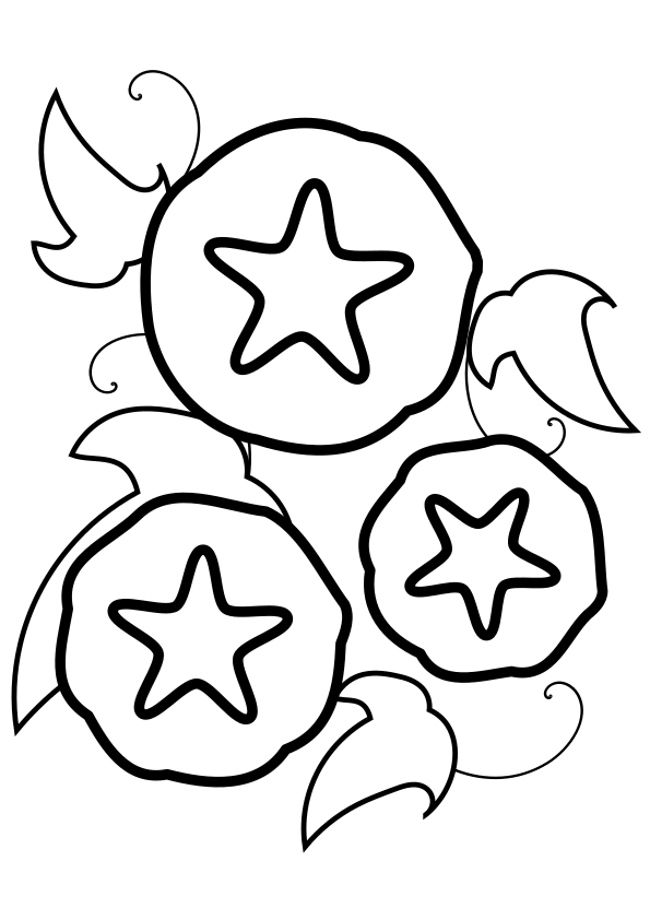 morning glory3 free coloring pages for kids