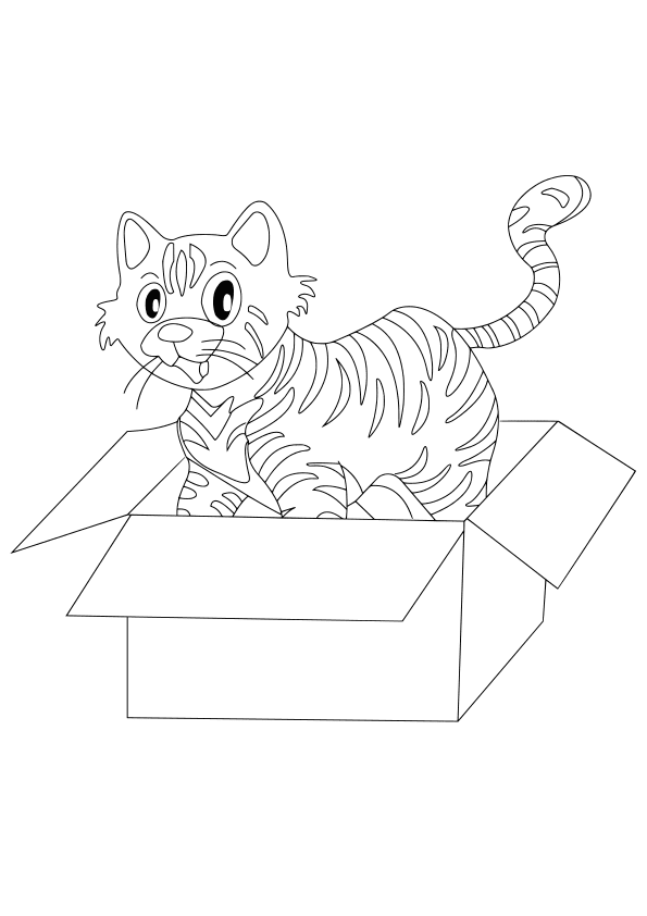 箱に入った猫の塗り絵です
