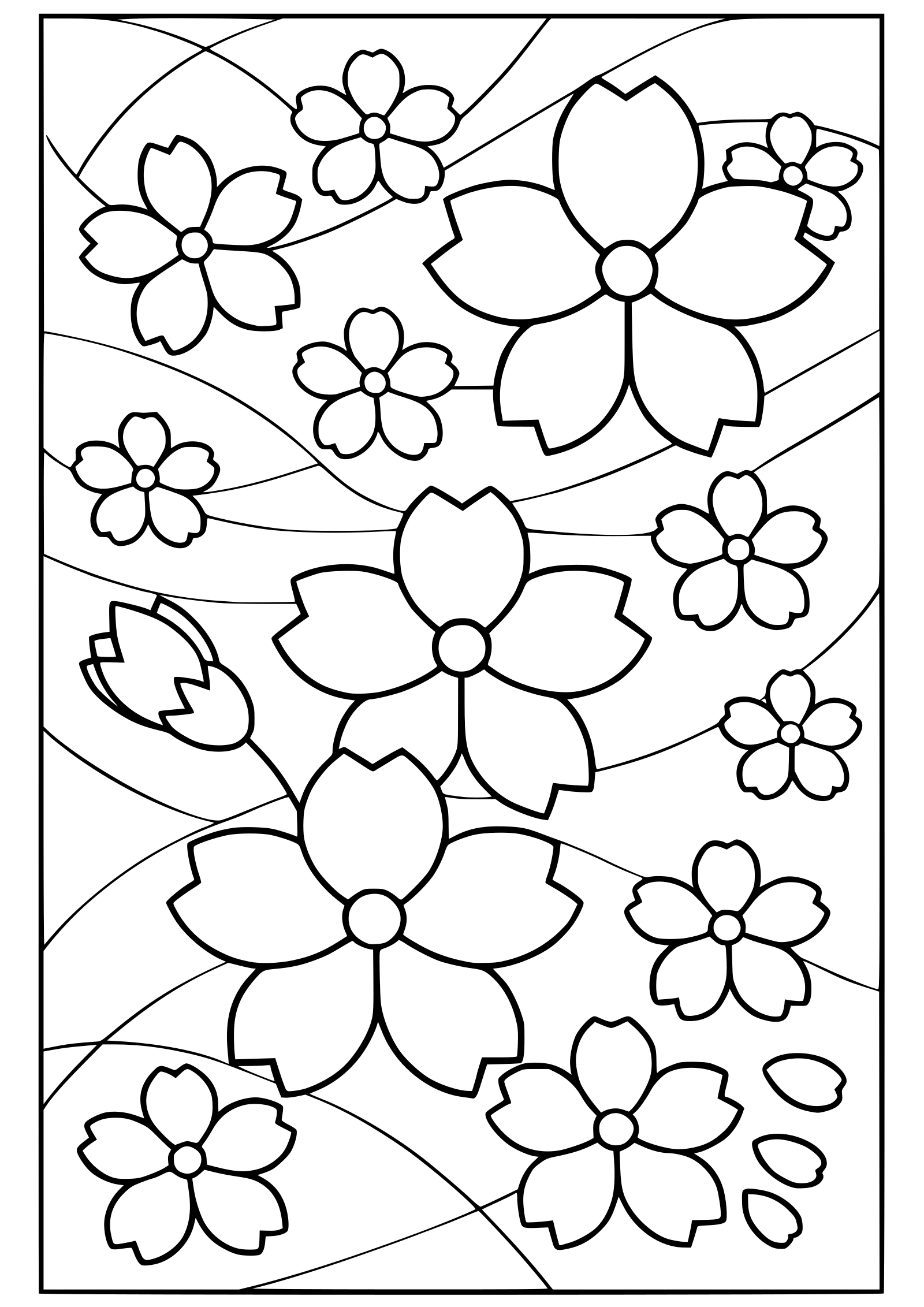 Cherry Blossom Flower 18 free coloring pages for kids