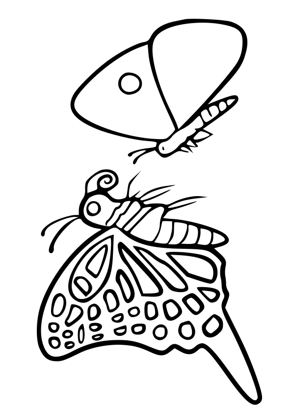Butterflies free coloring pages for kids