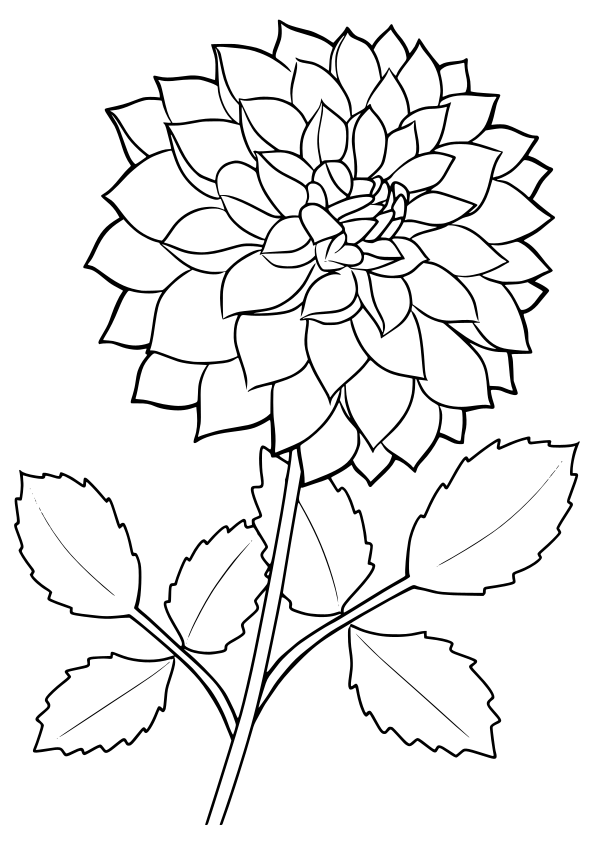 Dalia Flower2 free coloring pages for kids