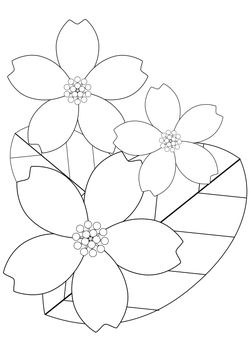 Cherry Blossom free coloring pages for kids