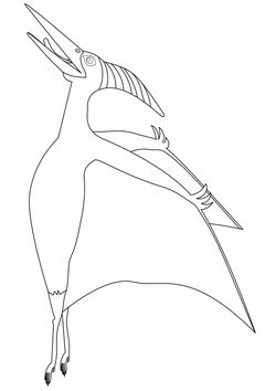 Pteranodon free coloring pages for kids