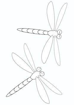 Dragonfly free coloring pages for kids