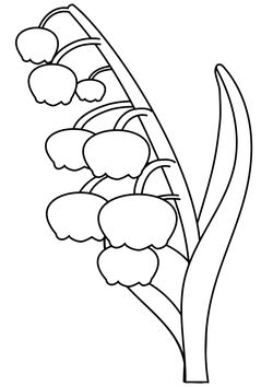 lily of the valley coloring pages for kindergarten and preschool kids activity free