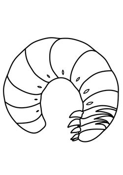 Stag beetle larvae free coloring pages for kids