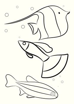 Tropical fish free coloring pages for kids