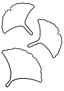 Ginkgo leaves coloring pages for kindergarten and preschool kids activity free