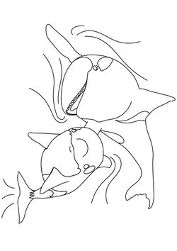 Killer whale free coloring pages for kids