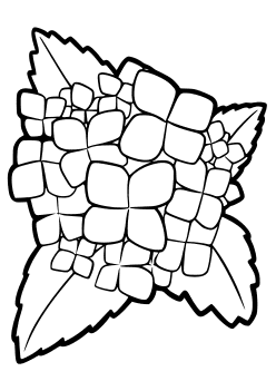 hydrangea free coloring pages for kids