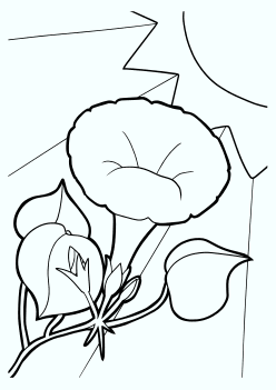 Morning Glory Flower free coloring pages for kids