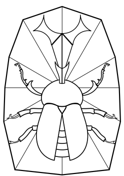 Beetle free coloring pages for kids