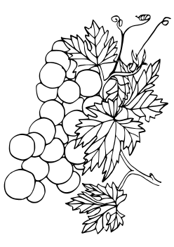Grape2 free coloring pages for kids