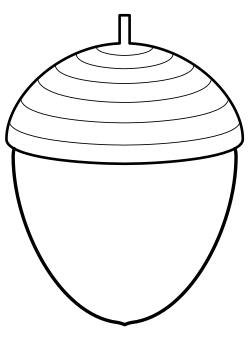 Acorn free coloring pages for kids