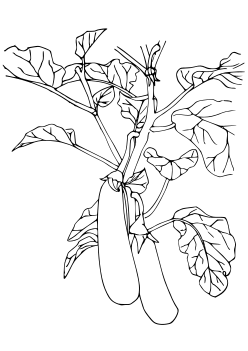 Eggplant3 free coloring pages for kids