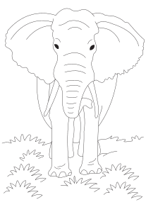Elephant-m free coloring pages for kids