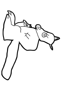 Kangaroo2 free coloring pages for kids