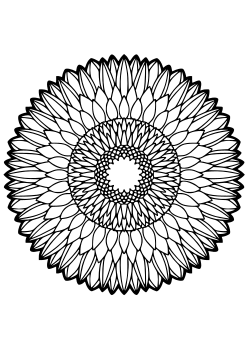 African daisy free coloring pages for kids