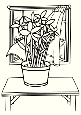 Flower16 coloring pages for kindergarten and preschool kids activity free