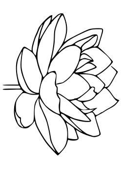 Lotus Flower2 free coloring pages for kids