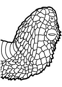 Snake2 free coloring pages for kids