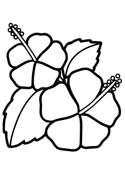 hibiscus free coloring pages for kids