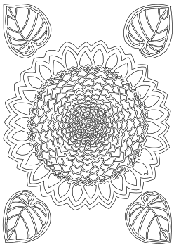 Sunflower10 free coloring pages for kids