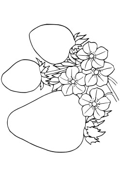 Strawberry2 coloring pages for kindergarten and preschool kids activity free