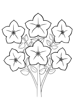 Bellflower2 free coloring pages for kids
