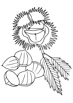 Marron free coloring pages for kids