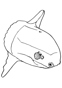 Sunfish2 free coloring pages for kids