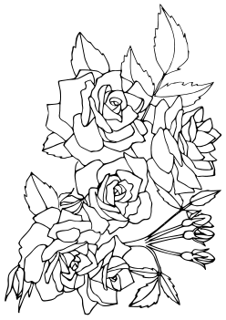 Miniature rose free coloring pages for kids