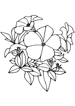 Petunia free coloring pages for kids