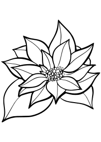 Poinsettia free coloring pages for kids