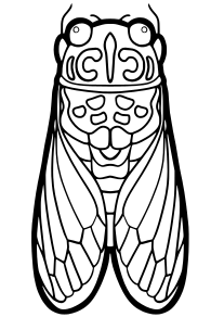 Cicada2 free coloring pages for kids
