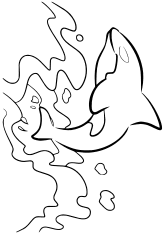 Killer Whale2 coloring pages for kindergarten and preschool kids activity free