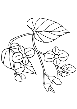 Autumn seaweed free coloring pages for kids