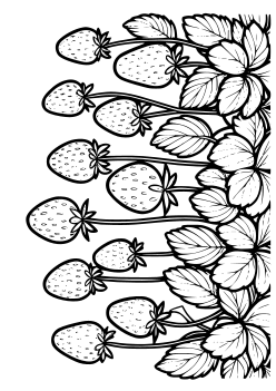 Strawberry 3 free coloring pages for kids