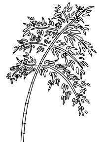 Bamboo Tanabata free coloring pages for kids