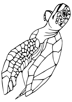 sea ​​turtle2 free coloring pages for kids