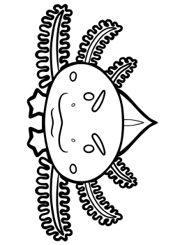Axolotl free coloring pages for kids