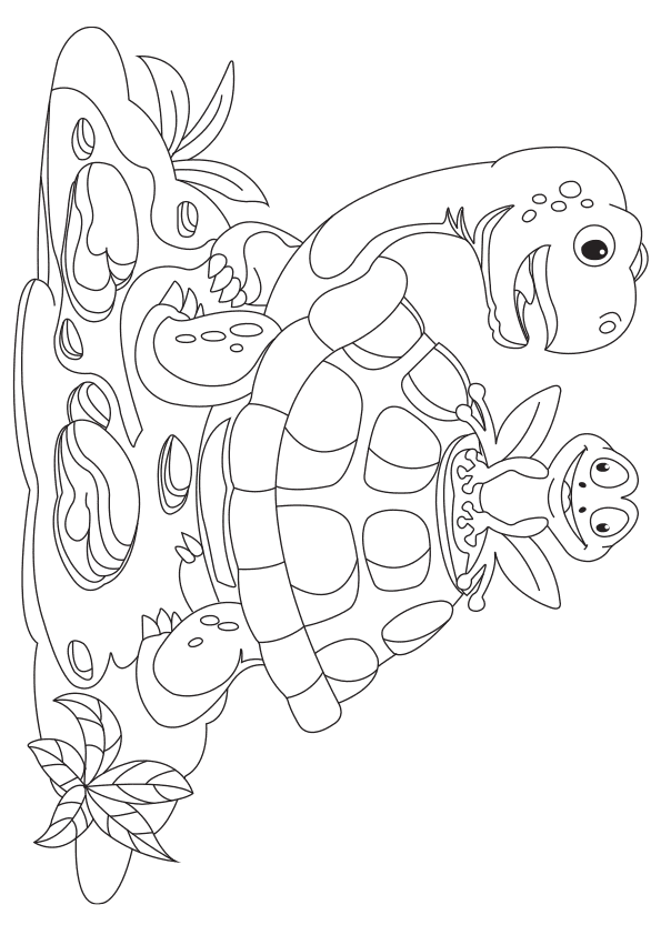 Turtle and Frog free coloring pages for kids