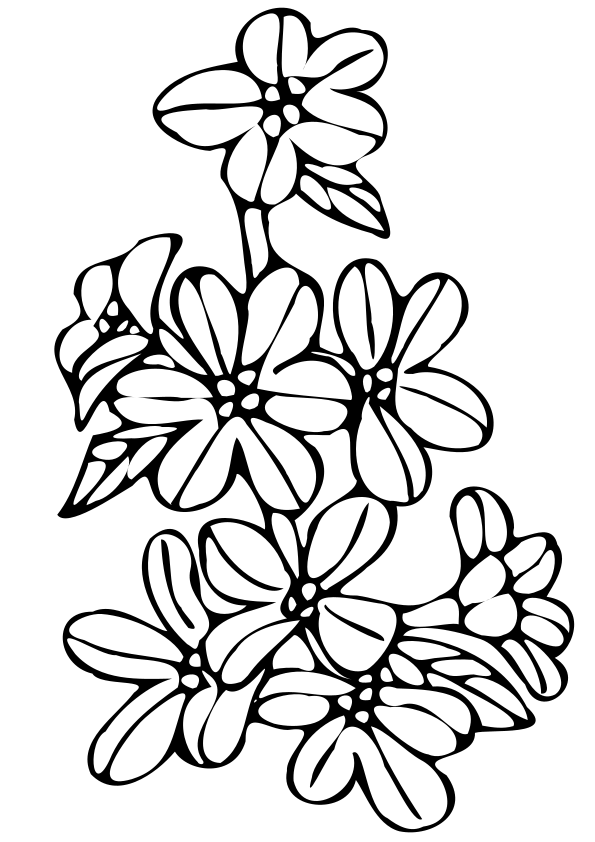 みそはぎの花の塗り絵です ミソハギは9月6日、10月11日の誕生花。 ミソハギの花言葉は「切ないほどの愛」「愛の悲しみ」「慈悲」だそうです