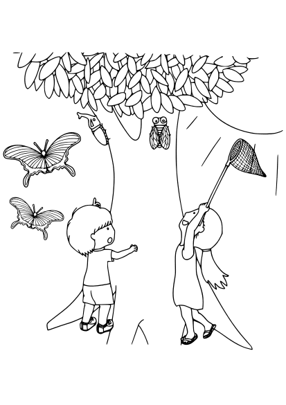 Insect Collecting free coloring pages for kids