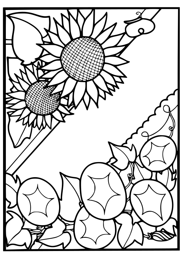 Summer Flowers free coloring pages for kids