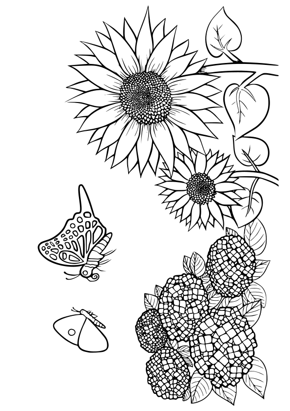 Summer Flowers2 free coloring pages for kids
